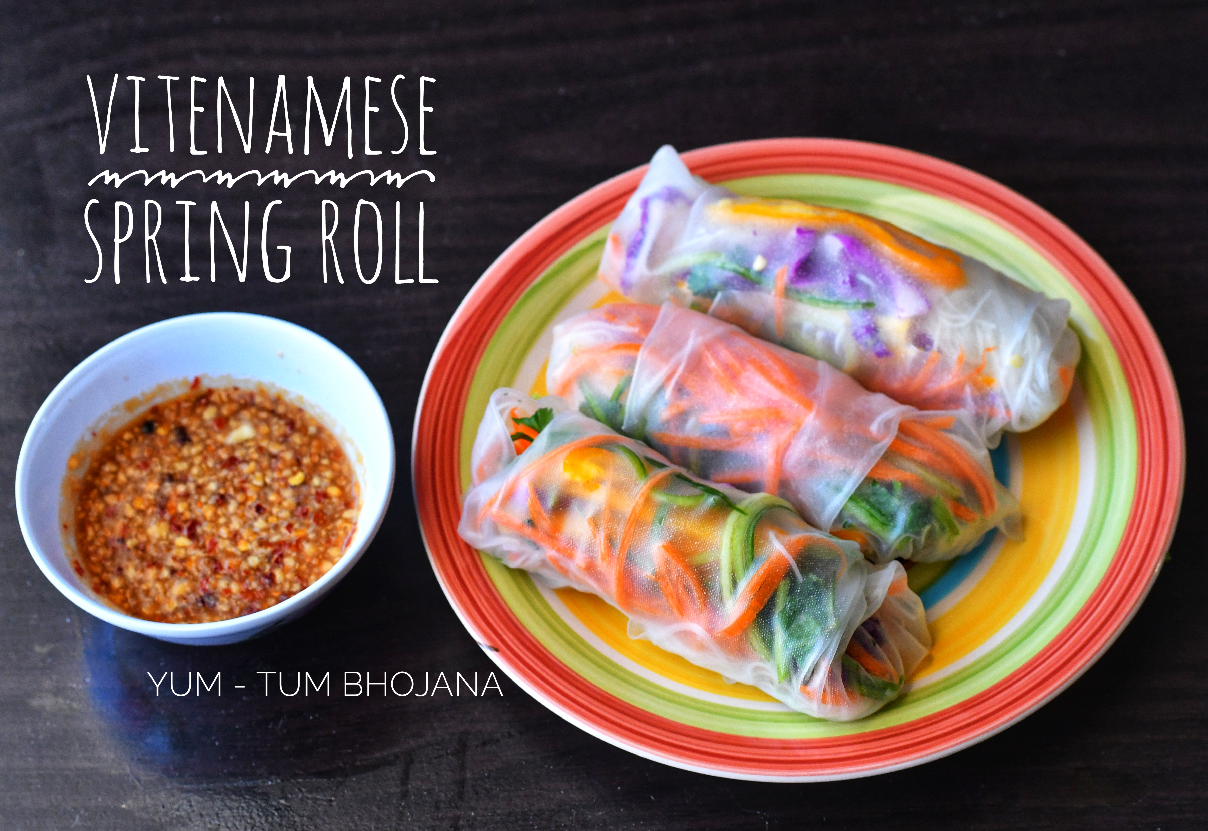 Vitenamese Spring Roll